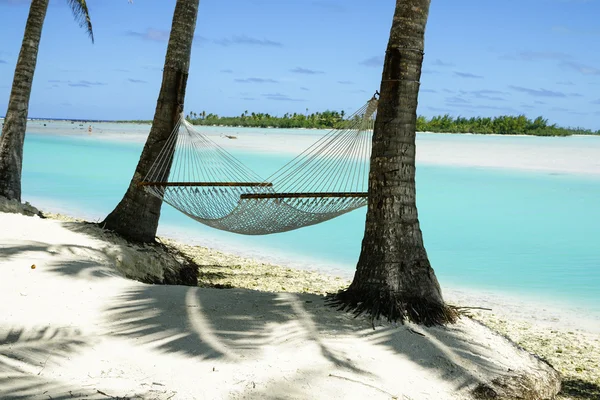 Leere Hängematte zwischen zwei Palmen auf tropischer Insel. — Stockfoto