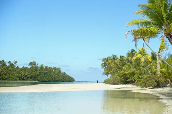 Rustige lagune wit zandstrand, omgeven door weelderige vegetatie. — Stockfoto