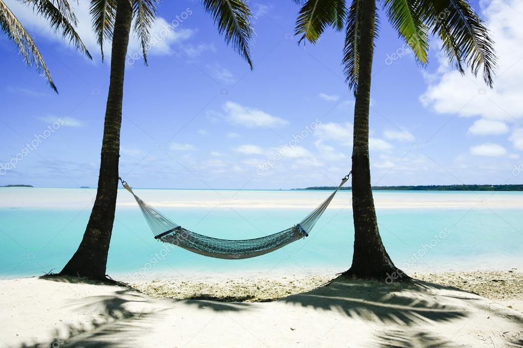 Empty hammock slung between two palms on Pacific Island beach