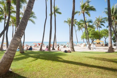 Meşgul beach Waikiki adlı