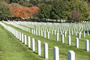 Arlington