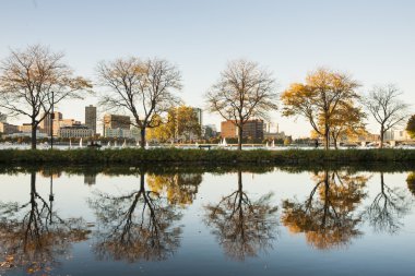 Leafless trees reflected in Storrow lagoon, Boston.