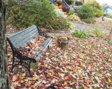 Sonbahar yaprak sonbaharda vurmak Bahçe koltuk.