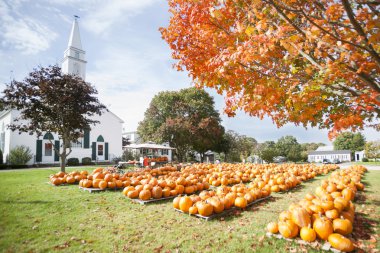 Kabaklar tüm kilise bahçesinde Satılık Cadılar Bayramı için ortaya konulan.