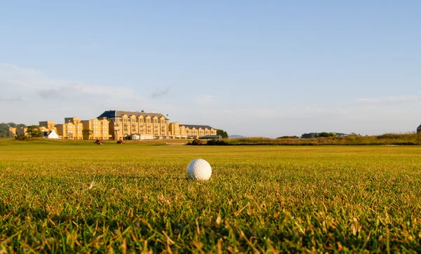 Golfbal op fairway — Stockfoto