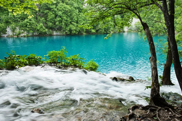 Lago azul-turquesa intenso emoldurado por vegetação exuberante no Parque Nacional de Plitvice Croácia — Fotografia de Stock