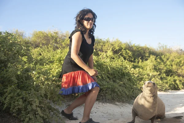 Tourist gets up close to sealion on beach — Stock Photo, Image