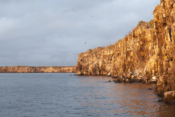 Vulkaniska klipporna på ön Genovesa i Galapagosöarna. — Stockfoto