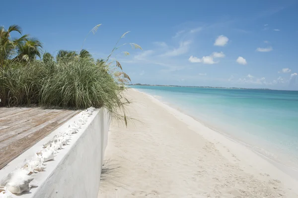 Lunga spiaggia dei Caraibi — Foto Stock
