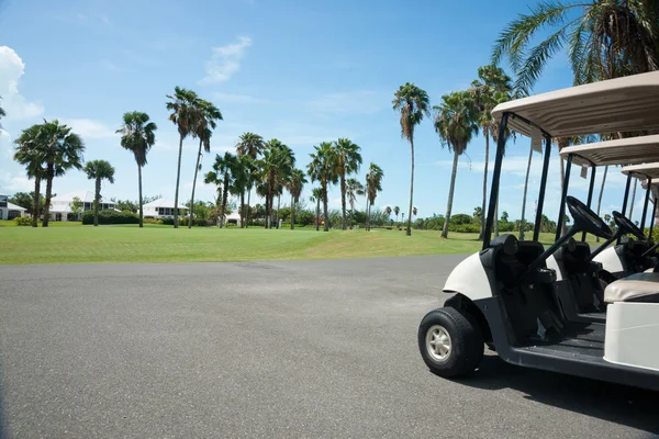 Golfbana med palmer — Stockfoto