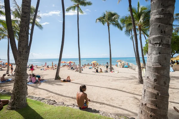 Les gens à la plage tropicale parmi les palmiers oscillants . — Photo