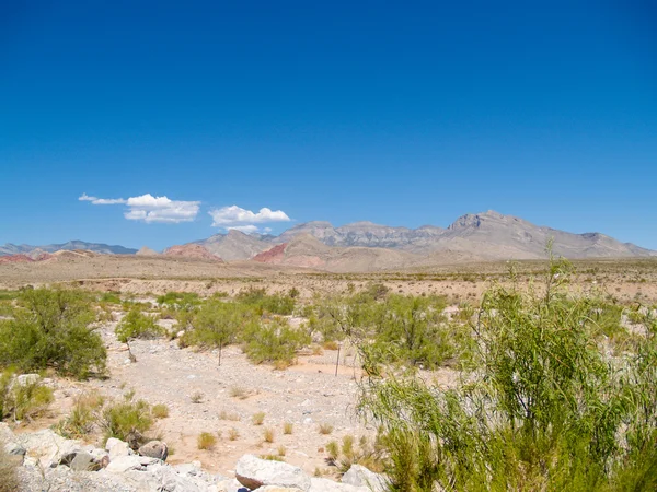 Desert, Red Rock Canyon, Nevada. — 스톡 사진