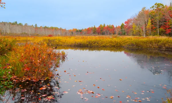 秋天的颜色环绕平静池塘. — 图库照片