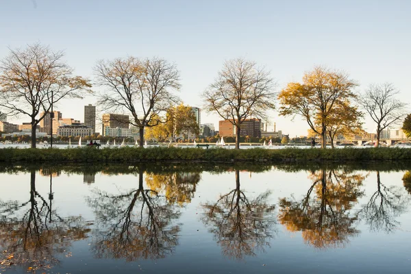 Leafless trees reflected in Storrow lagoon, Boston. — Stock Photo, Image