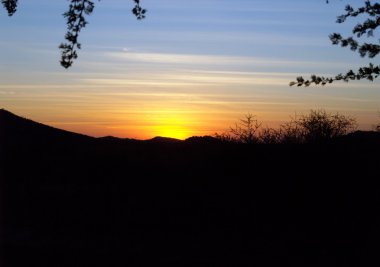 Siluet manzara mavi ve altın gökyüzü Güney Afrikalı günbatımı altında.
