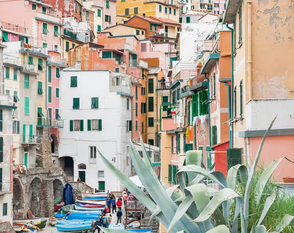 Itálie., Cinque Terre. — Stock fotografie