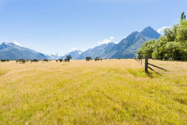 Grasland vallei en zuidelijke Alpen, Nieuw-Zeeland. — Stockfoto