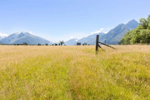 Grassland valley and Southern Alps, New Zealand. — Stock Photo, Image