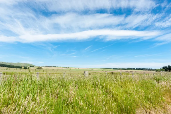 Rural background, — Stock Photo, Image