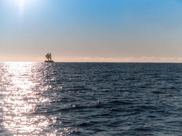 Waka vela maorí de la costa de Tauranga . — Foto de Stock