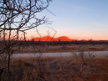 Afrika 'nın günbatımının yoğun ve tipik renkleri uzak tepeleri aydınlatıyor ve Madikwe Güney Afrika' da arka plandaki ön plan ve akasya ağaçlarını aydınlatıyor.