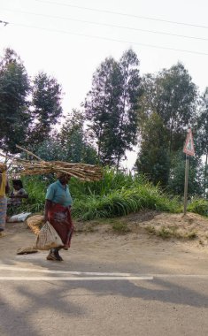 Yüksek kontrastlı beyaz kuş, siyah beyaz önlü deniz fenerinde tek başına uçuyor.