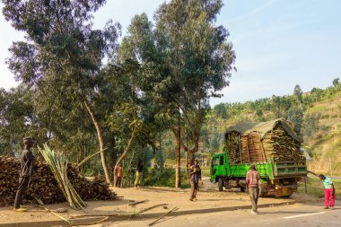 Yüksek kontrastlı beyaz kuş, siyah beyaz önlü deniz fenerinde tek başına uçuyor.