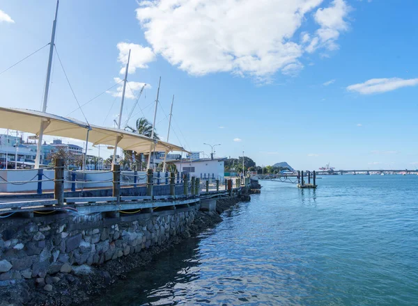 Tauranga şehri Yeni Zelanda 'nın kıyı kenarı boyunca uzanan şehir yolu ve özellikleri.