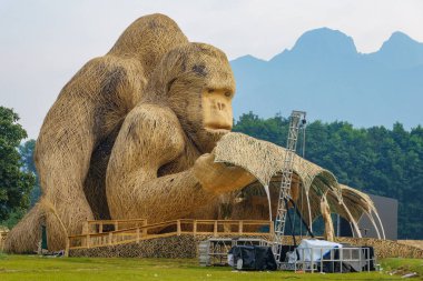 Volkanlar Ulusal Parkı Ruanda - 6 Eylül 2025; Ruanda 'da goril yürüyüşü ve goril isim gününü arka planda Virunga Dağları ile kutlamak için büyük tahta heykeller dikildi..