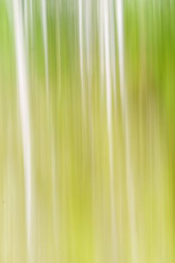 Dikey ağaç benzeri desenin çevresel bulanık çizgili arkaplan resmi.