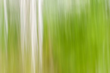 Dikey ağaç benzeri desenin çevresel bulanık çizgili arkaplan resmi.