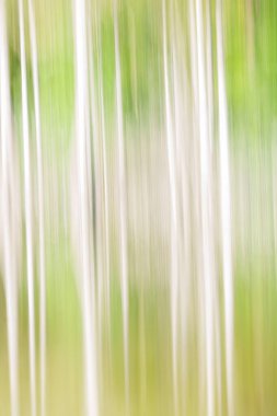 Dikey ağaç benzeri desenin çevresel bulanık çizgili arkaplan resmi.