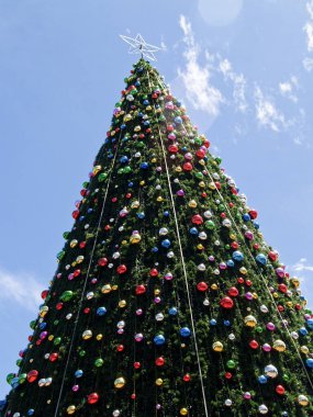 Gökyüzüne doğru yükselen Noel ağacı güneşli bir günde açık havada yeşil ve renkli mücevherler içinde..