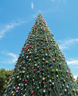Gökyüzüne doğru yükselen Noel ağacı güneşli bir günde açık havada yeşil ve renkli mücevherler içinde..