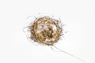İnce kuru iplikçiklerle örülmüş ve beyaz arka planda izole edilmiş beyaz tüylerle kaplanmış küçük kuş yuvası..
