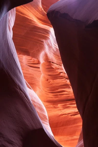 Lower Antelope Canyon sida Arizona Usa — Gratis stockfoto