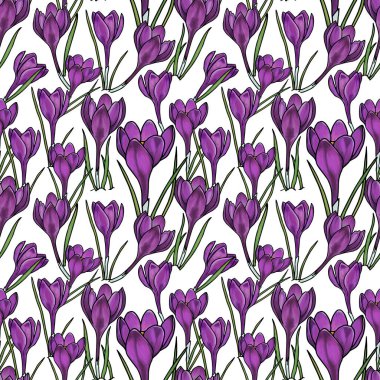 Beyaz arka planda krokus çizimi olan kusursuz desen, her amaç için harika tasarım. Minimalist kart tasarımı. Sanat öğesi. Yaz, bahar arkaplanı. tekstil ve kumaş.