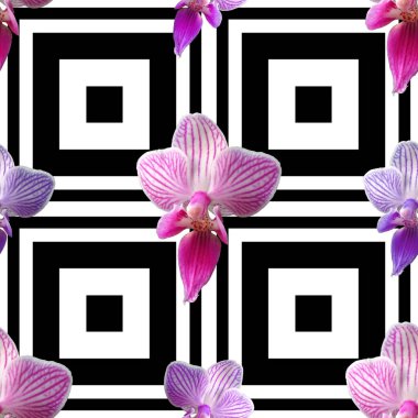 Siyah beyaz arka planda pembe orkide. İzole çiçekler. Kumaş, tekstil ve ambalaj kağıdı için kusursuz çiçek deseni. Tropik çiçek.