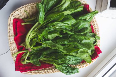 Bir sepet taze yeşil ıspanak.