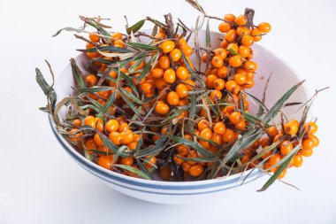 Böğürtlenli deniz dikenli dallar bir tabakta yatıyor