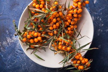 Böğürtlenli deniz dikenli dallar bir tabakta yatıyor