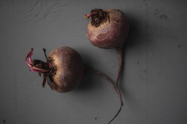 Taze pancarlar gri arka planda yatar