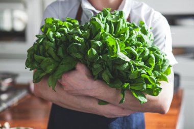 Elinde yeşil ıspanak bitkisi tutan bir adam.