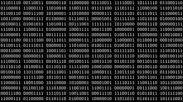 8-bit Binaries Screensaver (24fps ) — стоковое видео