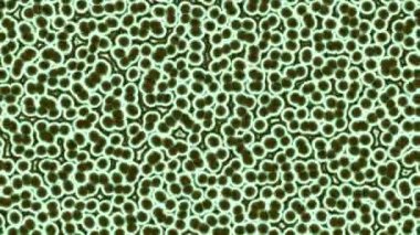 mikroskobik yeşil yaşam hücreleri