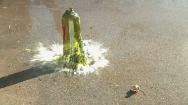 şarap şişesi beton düştü