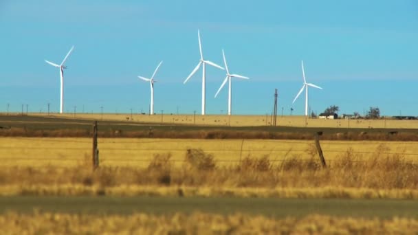 Energie produzierende Windmühlen — Stockvideo