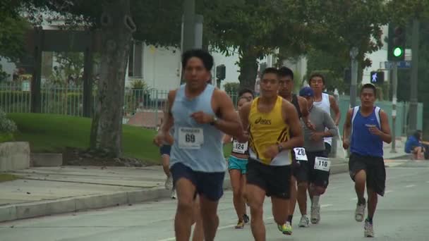 Marathon Male Runners — Stock Video