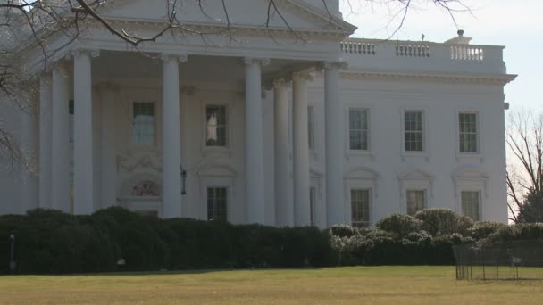 White House in Washington — Stock Video