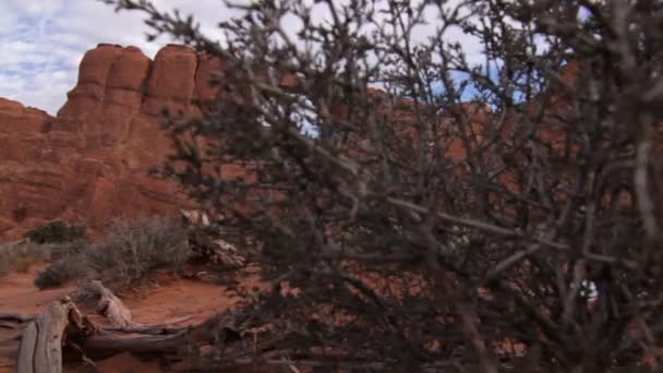 Pedras naturais no Parque Nacional dos Arcos — Vídeo de Stock